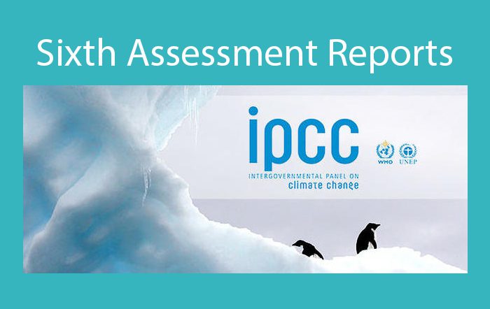 Members respond to the IPPC report – Part 2